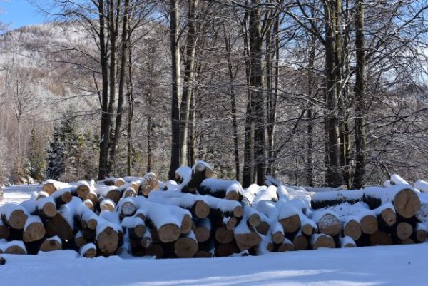 Ilustračn&eacute; foto Jozef Marko