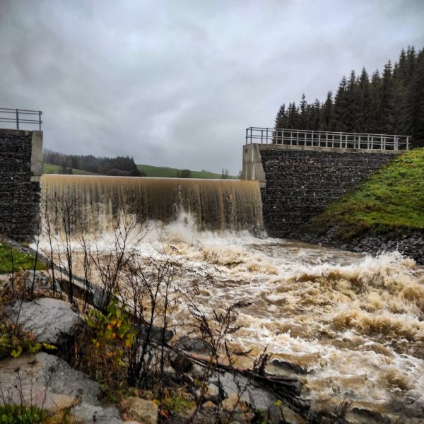 Protipovodňov&yacute; polder, vybudovan&yacute; vojensk&yacute;mi lesn&iacute;kmi 