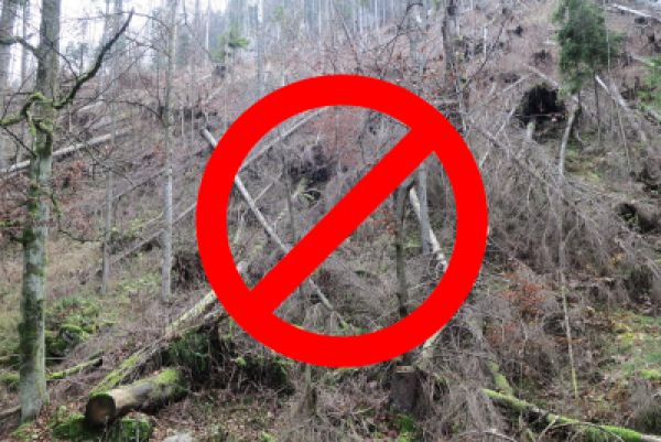 ÚNIA už dávnejšie vystavila stopku suchému lesu v bezzásahu, presadzovanom ochranármi