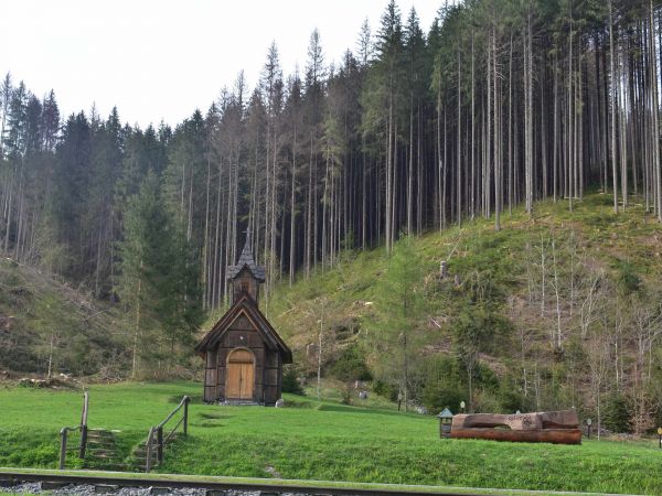 Podkôrniková kalamita v Lesníckom skanzene vo Vydrovskej doline 