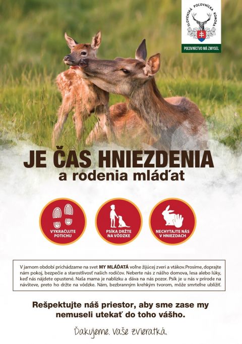 Plagát Slovenskej poľovníckej komory určený širokej verejnosti v čase rodenia mláďat 