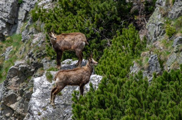 Foto: Správa TANAP-u, Marcel Tobis