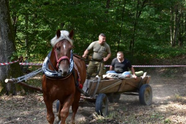 Ján Pliška a jeho tím počas Furmanských pretekov v Sobraneckých kúpeľoch 