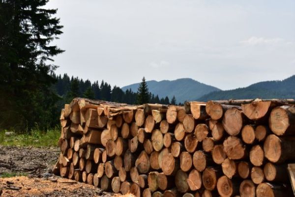 Ilustračn&eacute; foto Jozef Marko