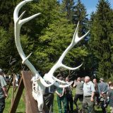 Ilustračn&eacute; foto: FB str&aacute;nka LESY SR 