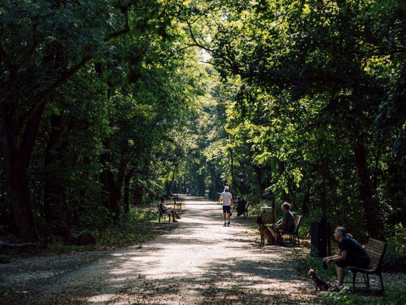 Petržalsk&yacute; lesopark