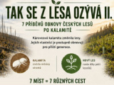 Nová audiovizuálna kampaň so siedmimi príbehmi obnovy českých lesov: O statočnosti ľudí, ktorí dokázali nájsť cestu v takmer bezvýchodiskovej situácii a vytrvali v úsilí obnoviť lesy