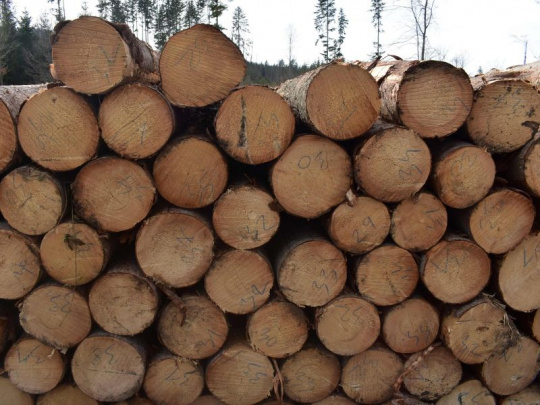 LESY SR upravili ceny dreva a zvýšili speňaženie drevnej hmoty: Každý mesiac nárast tržieb o jeden milión eur
