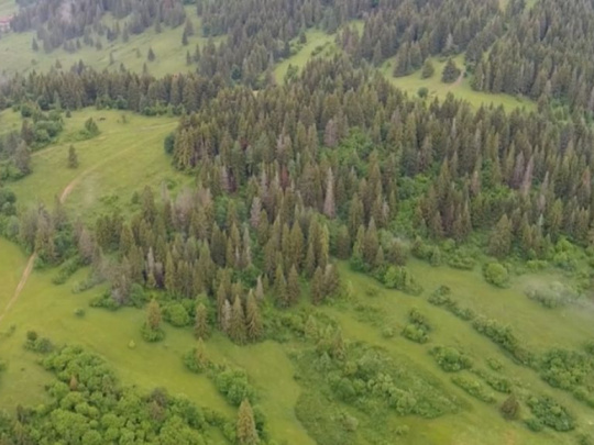 Drony majú na Šumave a v Bavorskom lese odhaliť oheň skôr ako sa rozšíri: Lesné požiare sú dnes predovšetkým otázkou rýchlosti a informácií