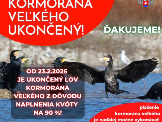 Slovenská poľovnícka komora a Slovenský rybársky zväz: Lov kormorána veľkého je z preventívnych dôvodov ukončený