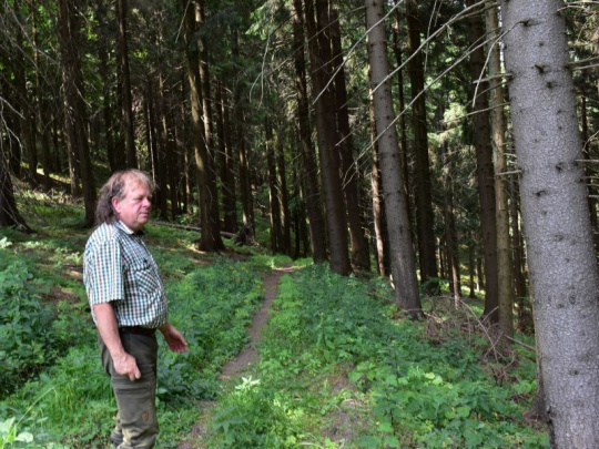 TÝŽDŇOVKA: OLH s rešpektom vlastníkov sa stáva riaditeľom, výrobným i ekonomickým námestníkom. Manažment v súkromných lesoch je akčnejší