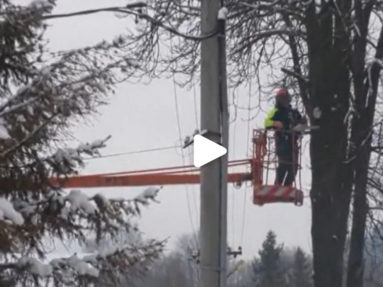 Vypiľovanie stromov a krov, ohrozujúcich prevádzku elektrických vedení v mestách a obciach: Energetici na strednom Slovensku s tým končia, je to povinnosť samospráv a vlastníkov
