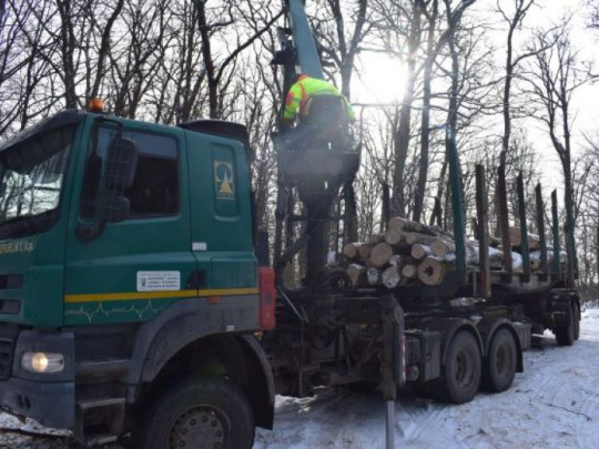 Lesy ČR: Využívame najmodernejšie spôsoby ochrany dreva pred krádežami