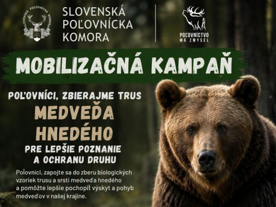 Slovenská poľovnícka komora: Fakty namiesto odhadov - spoločne za reálne čísla o medveďoch