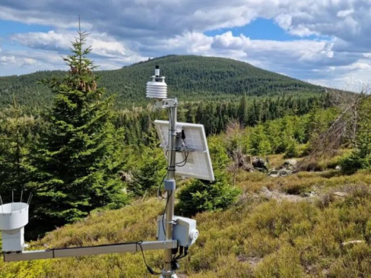 Lesnícky výskum o dočasnom odlesnení spôsobenom podkôrnikovou kalamitou: Nevedie k vysychaniu krajiny