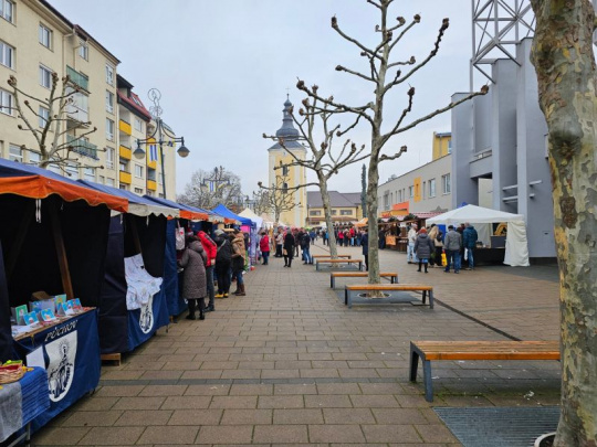 Projekt LIFE NatAdapt SK za 17 miliónov eur: Adaptácia na zmenu klímy, vodozádržné opatrenia a zelené strechy