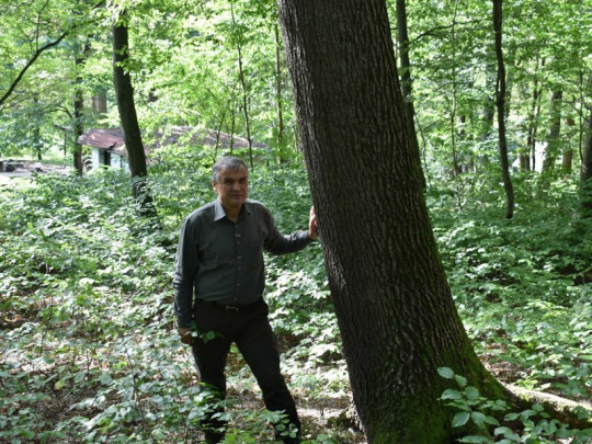 Reakcia: Prikloňme sa viac k využívaniu prírodných procesov, trvalo udržateľné obhospodarovanie lesov tak posunieme na vyššiu úroveň