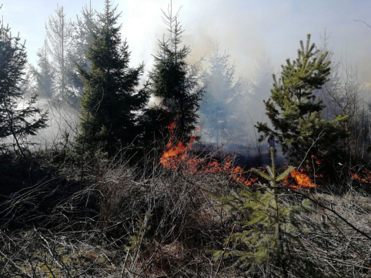 Mimoriadne horúčavy – rozsiahle požiare: Monitorovanie situácie v lesoch dômyselným systémom FireRisk