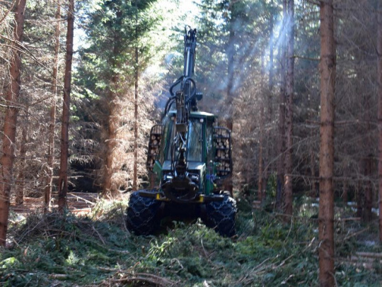 Komentár: Čo znižuje dýchanie pôdy v lesoch a aké výsledky priniesla štúdia z rokov 2021 - 2023