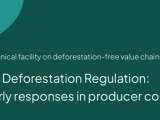Európsky lesnícky inštitút o príprave na EUDR: Nariadenie už prispieva k väčšej transparentnosti a dialógu o rizikách odlesňovania
