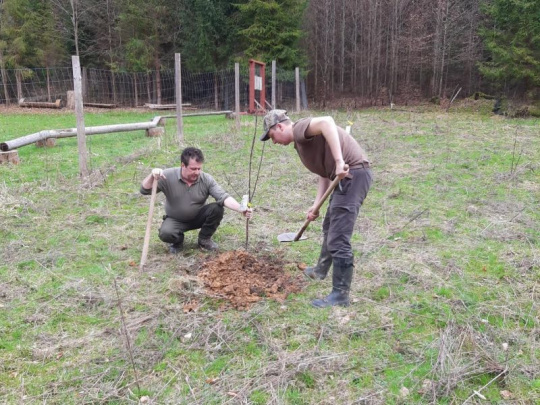 Štátni lesníci zakladajú ďalšie ovocné lesné cesty: V tomto roku ich má pribudnúť 24 v rôznych regiónoch Slovenska