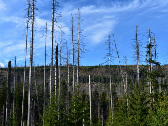 Rozpočet českého envirorezortu klesne tento rok o viac ako tretinu: Menej peňazí dostanú aj národné parky
