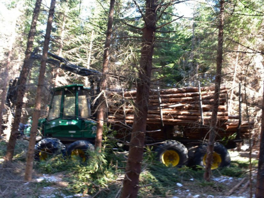 Odhadovaná hodnota služieb a prác vo veľkom lesníckom tendri na roky 2026 až 2030 je 4,6 miliardy českých korún: Objem ťažby dreva 5,4 miliónov kubíkov na 229 000 hektároch
