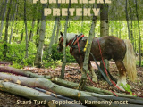 Furmanské preteky v lesoch mesta Stará Turá: Dokonalá spolupráca človeka a koňa