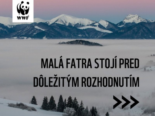 Všimli sme si: Národný park Malá Fatra stojí pred dôležitým rozhodnutím – očakávania lesomajiteľov a neziskoviek