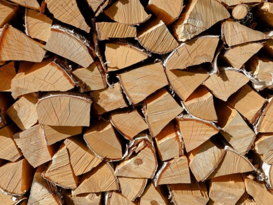 Ceny palivového dreva sa výrazne nezmenili: Lesnícke podniky neevidujú rastúci záujem, zmena sa očakáva po zavedení emisných povoleniek pre domácnosti