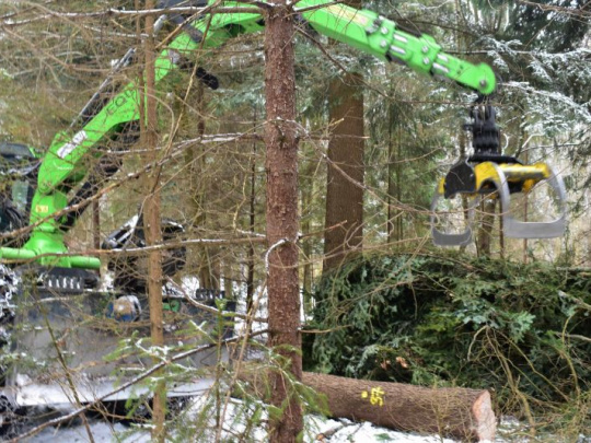 Pracovné riziká pri ťažbe dreva v lese: Preventívne stratégie cestou k zlepšeniu bezpečnosti a ochrany zdravia pri práci
