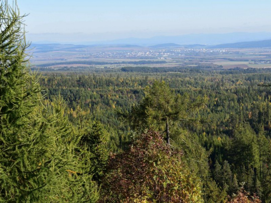 Zmena podmienok pre obnovu kalamitných plôch v Česku: Predĺženie lehoty na zabezpečene mladého porastu, viac času na prirodzený vývoj a zapojenie prípravných drevín