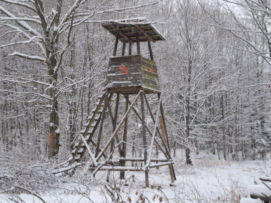 Vlastníci lesov v Česku zdôrazňujú potrebu koncepčných zmien zákona o poľovníctve: Bez nich nebude možné účinne regulovať premnoženú raticovú zver