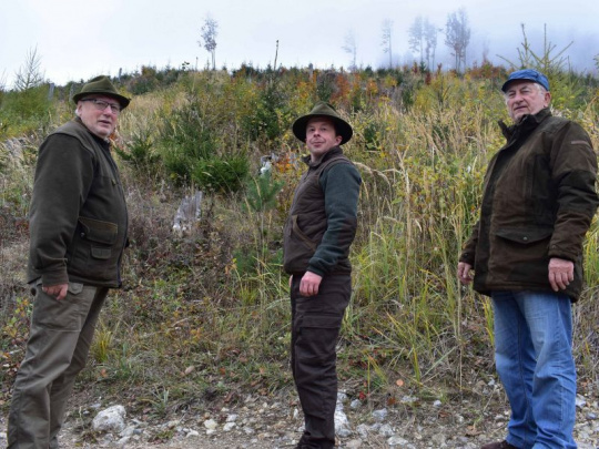 TÝŽDŇOVKA: Lesníci a poľovníci držia v porastoch urbáru Liptovská Sielnica škody zverou na uzde, spoločne kladú dôraz na ochranu lesa