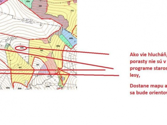 Glosa: Ochranárske zlyhania a lesníci, podávajúci bičík – len si udrite!