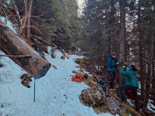 Správa TANAP-u o spolupráci pre ochranu veľkých šeliem: Cezhraničný projekt spája 17 poľských partnerov a 2 slovenské národné parky