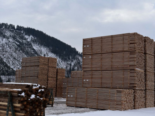 Lesnícko-drevársky fond v Česku: Má podporiť tuzemské využitie dreva a objektívne informovať verejnosť o lesoch a lesnom hospodárstve