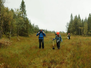 Vedci mapovali švédske lesy a zisťovali schopnosti rôznych porastov zadržiavať uhlík: Hlavný rozdiel objavili pod zemským povrchom
