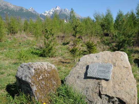 TÝŽDŇOVKA: Vlastníci lesov žiadajú uznanie historickej pravdy, riešenie vidia v prírodných parkoch bez ničnerobenia