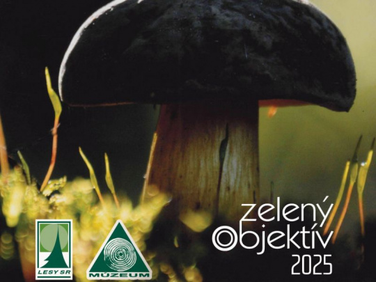 Lesnícke a drevárske múzeum vo Zvolene: 25. výstava s názvom Zelený objektív s dvoma novinkami potrvá od 26. marca do 2. mája 2026