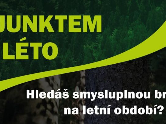 Deviaty rok pokračuje program Adjunktom na leto: Zmysluplná prax pre študentov lesníctva, krajinárstva a vodohospodárstva