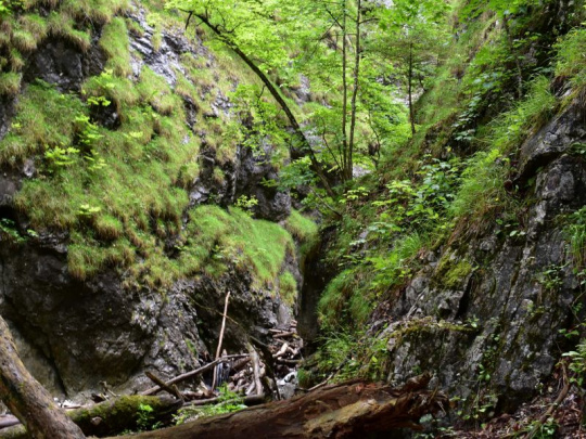 Program starostlivosti o Národný park Slovenský raj predĺžený do rok 2027: Čas na prípravu kvalitného a odborného návrhu zonácie