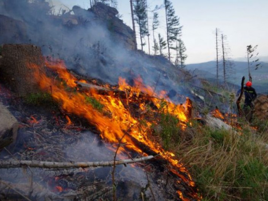 Skúsený lesník je šokovaný z mediálnej prezentácie apokalypsy v Národnom parku České Švýcarsko: Drzá snaha zľahčovať situáciu