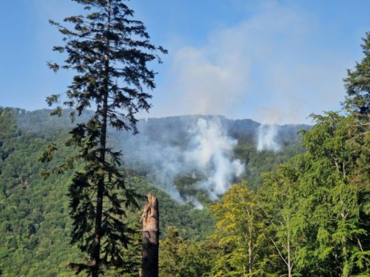 Rozhovor: Veľké poďakovanie košických mestských lesníkov za uhasenie požiaru v ťažko prístupnom teréne
