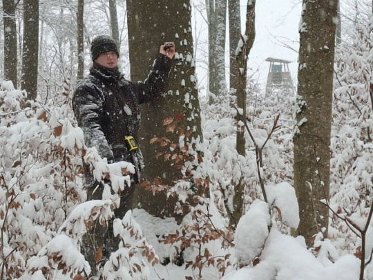 TÝŽDŇOVKA: Problém s prieťahmi v schvaľovaní programov starostlivosti o lesy a jeho riešenie v dodržiavaní zákonných lehôt