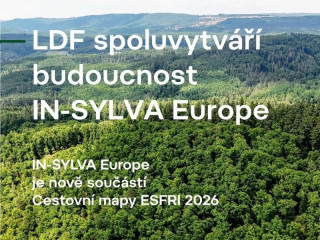 Lesnícka a drevárska fakulta Mendelovej univerzity v Brne: Projekt IN-SYLVA Europe buduje prvú celoeurópsku výskumnú infraštruktúru zameranú na adaptáciu lesov na zmenu klímy