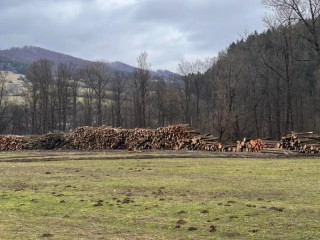 Čo sa stane s drevom po výrube stromov kvôli výstavbe diaľnice D3 na Kysuciach? Národná diaľničná spoločnosť ho predá na základe najvyššej cenovej ponuky