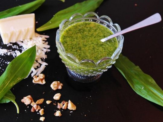 Jarný poklad v lese: Zber medvedieho cesnaku nie je len praktickou aktivitou, ale aj príjemným spôsobom, ako stráviť čas v prírode