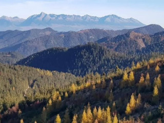 Glosa: Ak chcú lesníci žiť na výnimku, je to smutné. Po práci lesníkov predsa ostávajú všade lesy a robia radosť všetkým