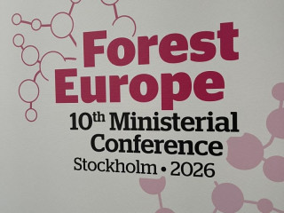Štokholmská deklarácia ministrov FOREST EUROPE – trvalo udržateľné lesy pre odolnú spoločnosť: Podpora a realizácia aktívneho a trvalo udržateľného hospodárenia v lesoch